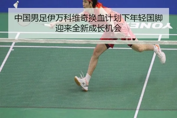 中国男足伊万科维奇换血计划下年轻国脚迎来全新成长机会